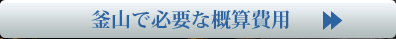 釜山で必要な概算費用