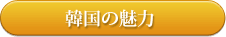 韓国の魅力